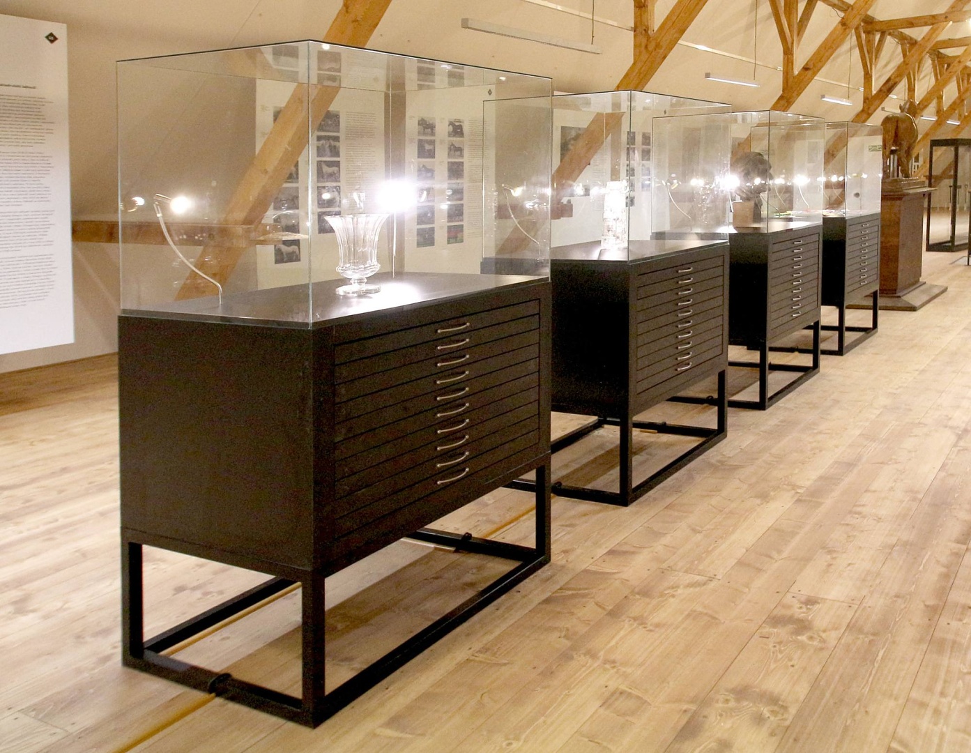 Starokladrubsky_kun_hlavnifoto